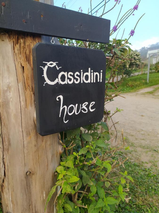 Cassidini House Apartment Monteverde ภายนอก รูปภาพ